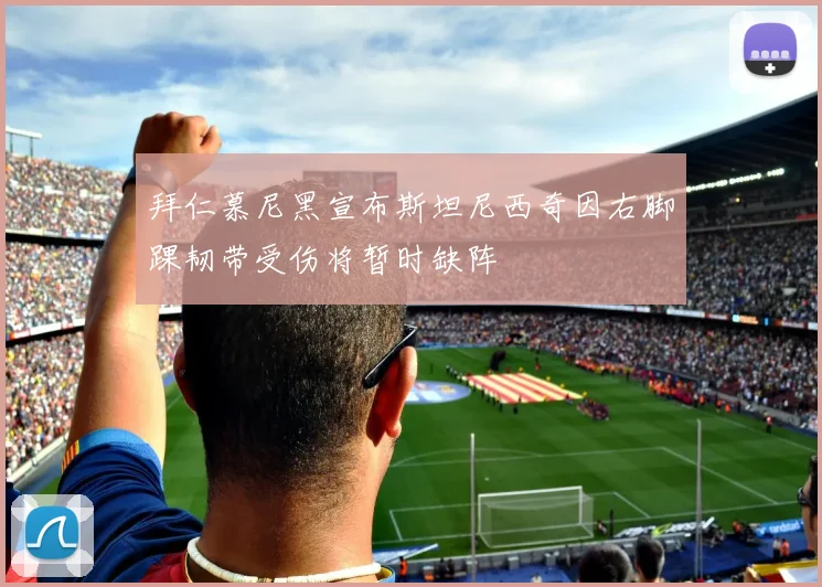 拜仁慕尼黑宣布斯坦尼西奇因右脚踝韧带受伤将暂时缺阵