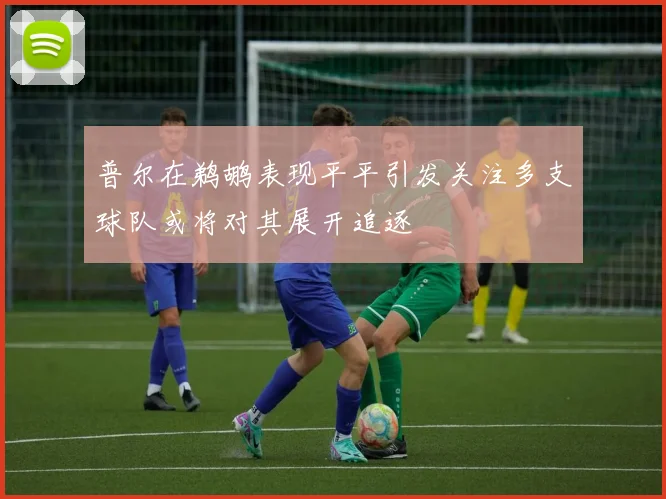 普尔在鹈鹕表现平平引发关注多支球队或将对其展开追逐