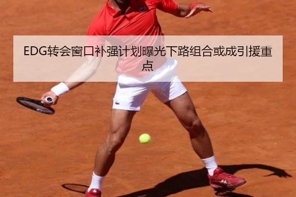 EDG转会窗口补强计划曝光下路组合或成引援重点（jiuyou）